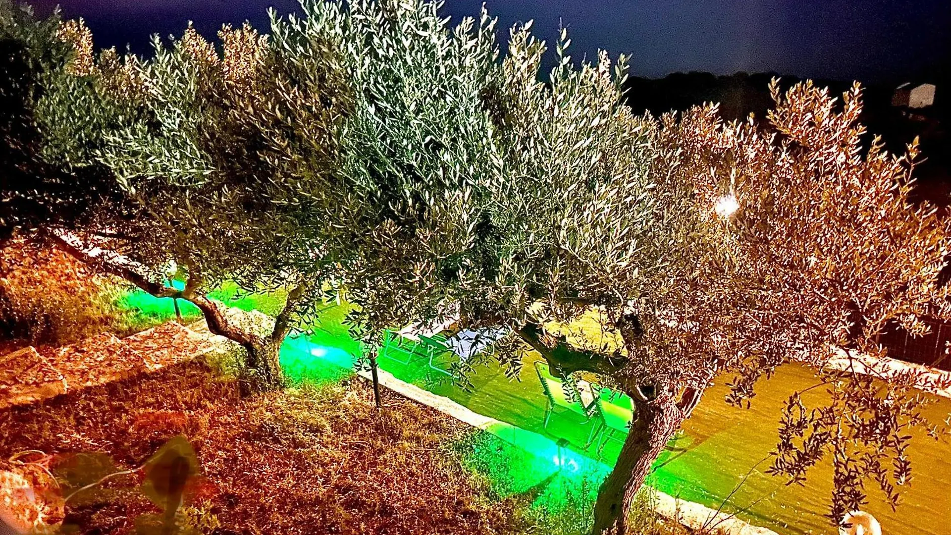Bed and Breakfast La Collina Sul Mare Palma di Montechiaro Frühstückspension