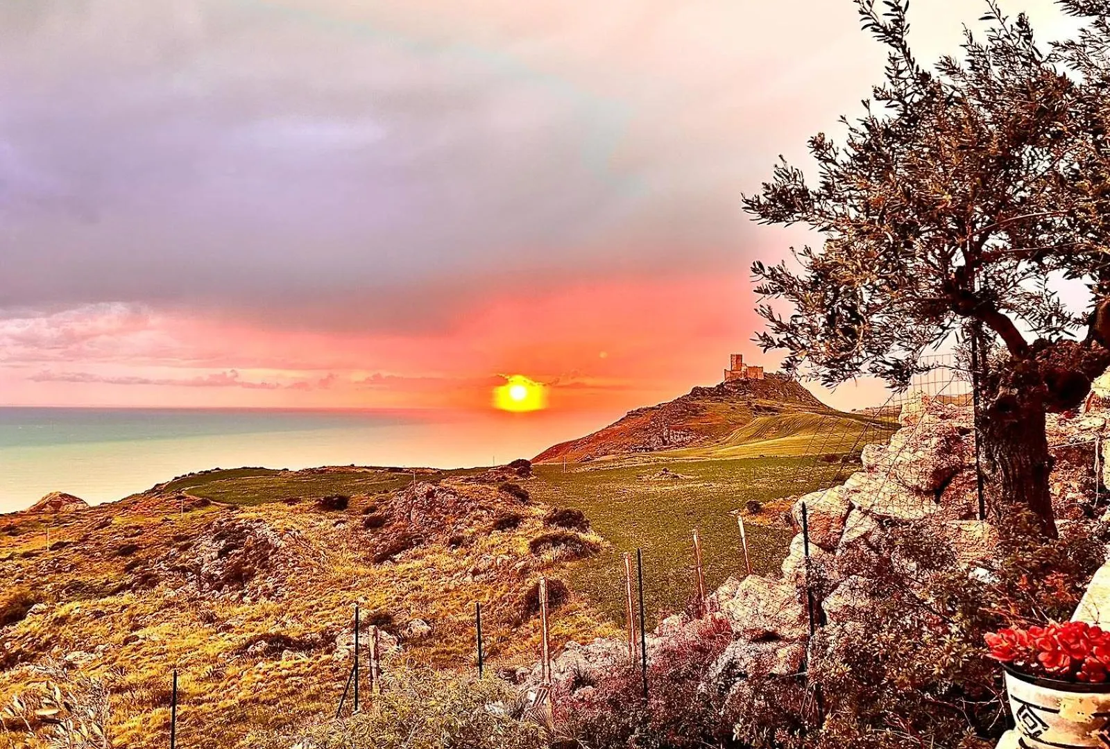 팔마 디 몬테치아로 La Collina Sul Mare B&B